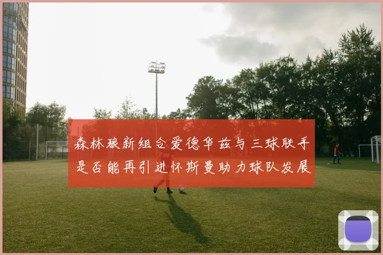 森林狼新组合爱德华兹与三球联手是否能再引进怀斯曼助力球队发展